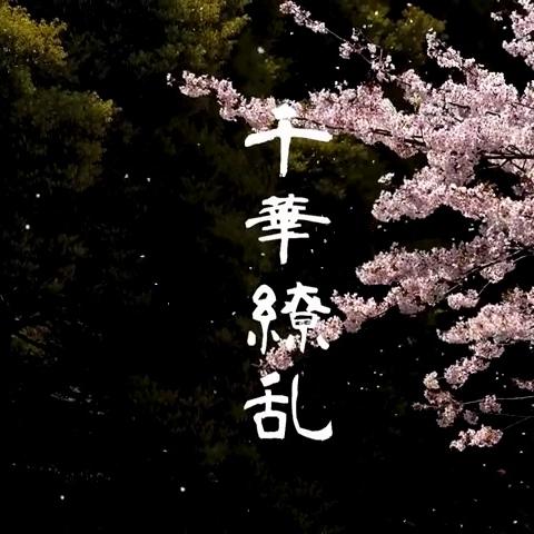 Koyuki Chan Innocent Japanese Blowjob