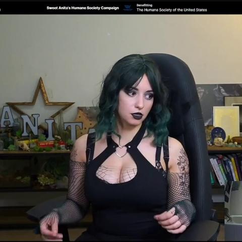 Sweet Anita Sexy Goth Outfit Twitch Stream 1