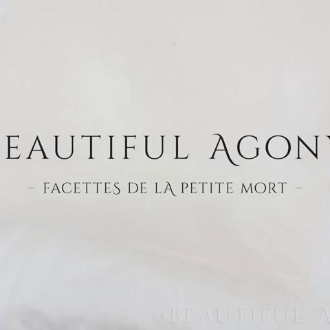 Beautiful Agony 4870