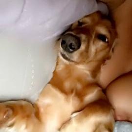 Carolina Samani Bare Tits In Bed